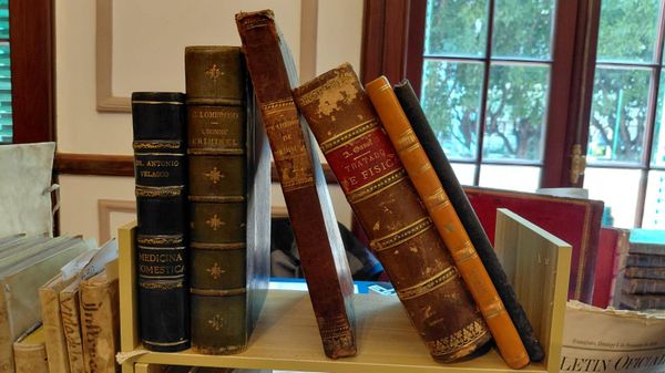 Feria del Libro Anticuario Mexicano 2026 - Sputnik Mundo