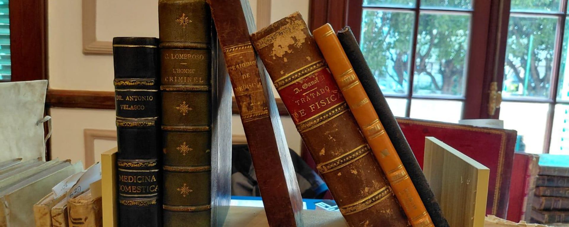 Feria del Libro Anticuario Mexicano 2026 - Sputnik Mundo, 1920, 28.08.2026