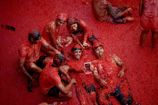 Participantes en el tradicional festival de La Tomatina, que se celebra en el municipio español de Buñol, aparecen tumbados entre tomates machacados. - Sputnik Mundo
