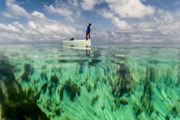 Una persona rema en una barca sobre el arrecife de coral cerca de los Cayos Holandeses, en la costa caribeña de Panamá. - Sputnik Mundo