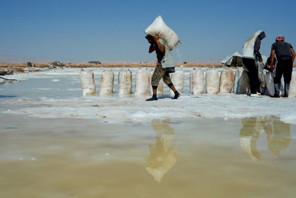 Unos trabajadores recolectan sal en sacos en el desierto cerca de la antigua ciudad de Palmira, en Siria. - Sputnik Mundo