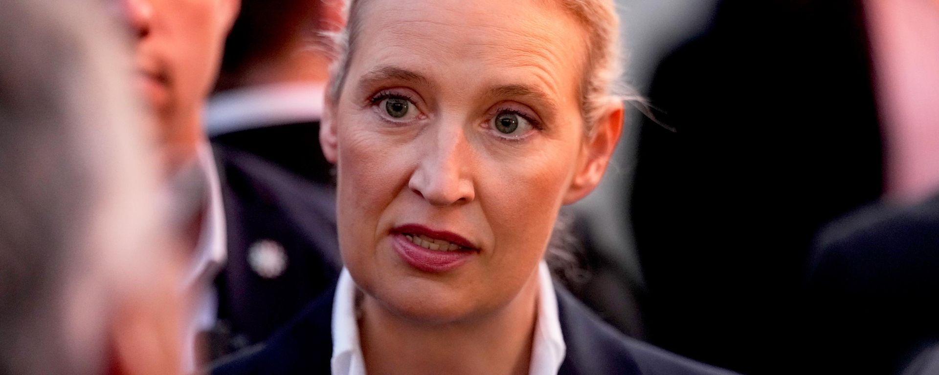 Alice Weide, la copresidenta del partido AfD - Sputnik Mundo, 1920, 08.09.2026