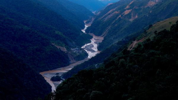 Amazonía de Bolivia. - Sputnik Mundo