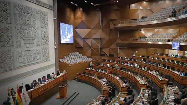 La Asamblea Legislativa Plurinacional avaló el pedido del Gobierno nacional y extendió el estado de excepción en Bolivia por tres meses. - Sputnik Mundo