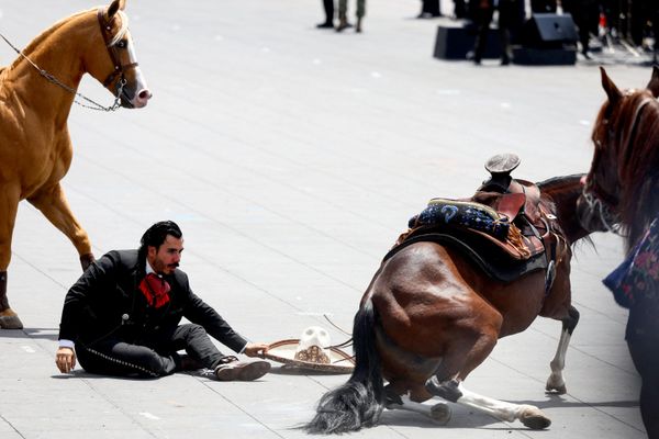 Un participante vestido con traje tradicional cae de un caballo durante un desfile militar con motivo del Día de la Independencia de México. - Sputnik Mundo