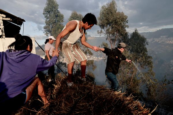 Los residentes combaten el fuego durante los incendios forestales cerca de los barrios residenciales de Quito, Ecuador. - Sputnik Mundo