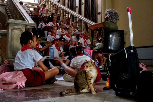 Un gato se sienta junto a unos alumnos de la Escuela Nacional de Ballet Fernando Alonso mientras asisten a clase en una escalera de La Habana, Cuba. - Sputnik Mundo