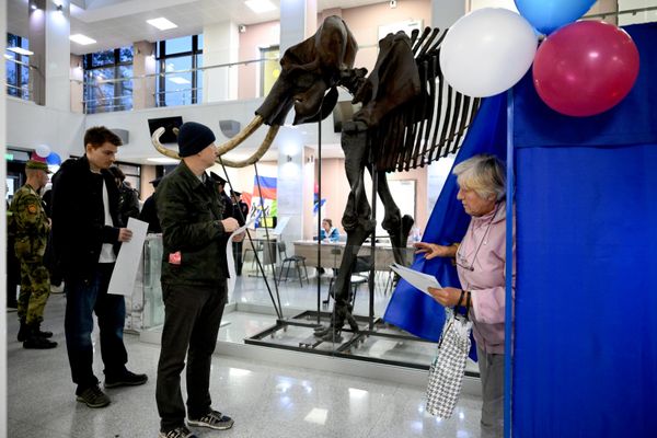 Votación en el colegio electoral n.º 1951, ubicado en la Universidad Estatal de Novosibirsk, durante las elecciones de diputados de la Duma Estatal de la IX legislatura de Rusia. - Sputnik Mundo