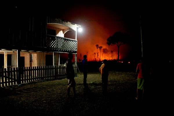 La gente presencia un incendio forestal en la Amazonía, Brasil. - Sputnik Mundo