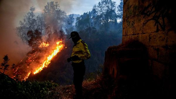 Incendios forestales en Ecuador. - Sputnik Mundo