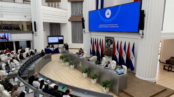 Asamblea Nacional de Nicaragua. - Sputnik Mundo