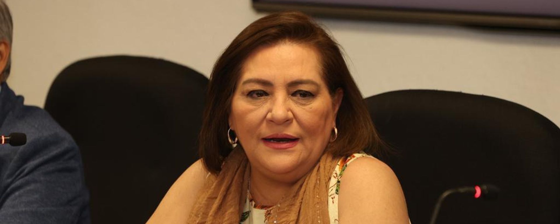 Guadalupe Taddei, titular del Instituto Nacional Electoral - Sputnik Mundo, 1920, 24.10.2026