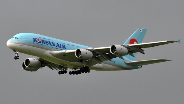 La vicepresidenta de Korean Air dimite por unos cacahuetes - Sputnik Mundo