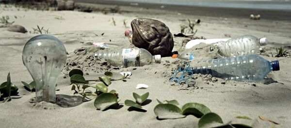 Los océanos tienen 270 toneladas de residuos plásticos en la superficie - Sputnik Mundo