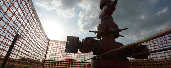 RBC Daily - Sputnik Mundo