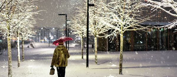 Женщина с зонтом идет по парку Музеон во время снегопада в Москве - Sputnik Mundo
