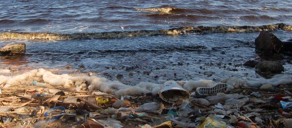 La Bahía de Guanabara - Sputnik Mundo