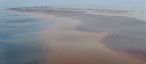 Derrame de petróleo en el Golfo de México (Archivo) - Sputnik Mundo