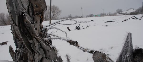 Место крушения малайзийского Boeing 777 - Sputnik Mundo