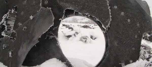 Rusia interroga al testigo que afirma que un avión ucraniano derribó el MH17 - Sputnik Mundo