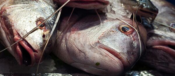 Pescado - Sputnik Mundo