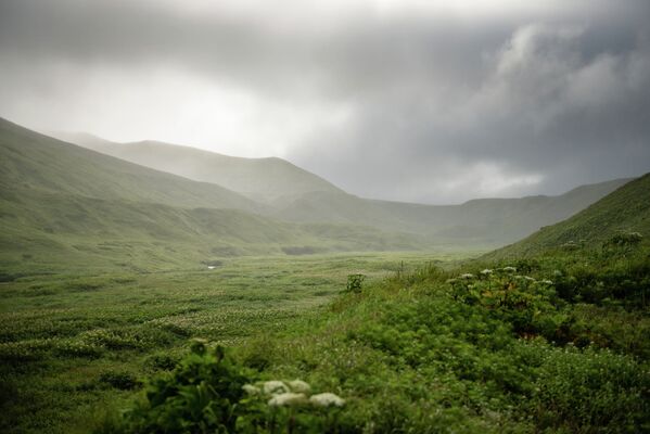 Islas Kuriles - Sputnik Mundo