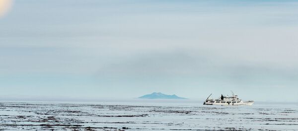 Islas Kuriles - Sputnik Mundo