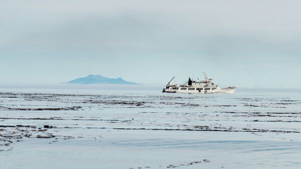 Islas Kuriles - Sputnik Mundo