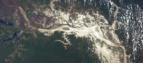 Río Amazonas Río Amazonas - Sputnik Mundo