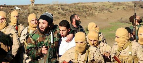 El Estado Islámico apresa a piloto jordano de un avión derribado sobre Siria - Sputnik Mundo