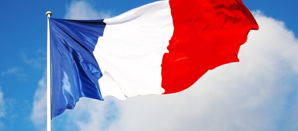 Francia reconoce el daño de las sanciones contra Rusia a la economía europea - Sputnik Mundo