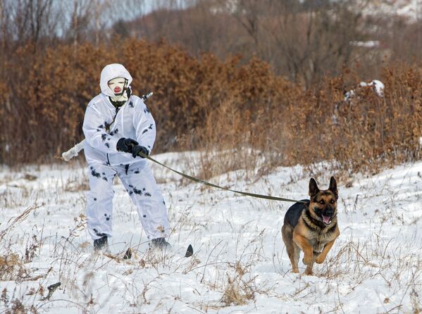 El único grupo de Infantería ártica de Rusia - Sputnik Mundo
