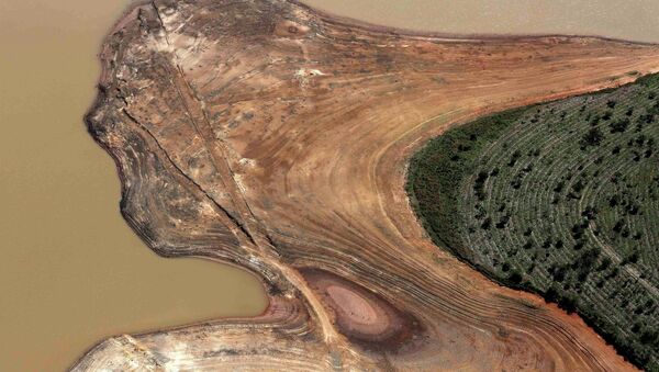 La ciudad de Sao Paulo podría cortar el suministro de agua 5 días por semana para ahorrar - Sputnik Mundo