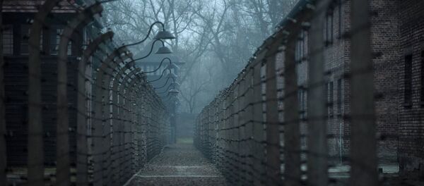 A general view of the former German Nazi concentration and extermination camp Auschwitz in Oswiecim - Sputnik Mundo