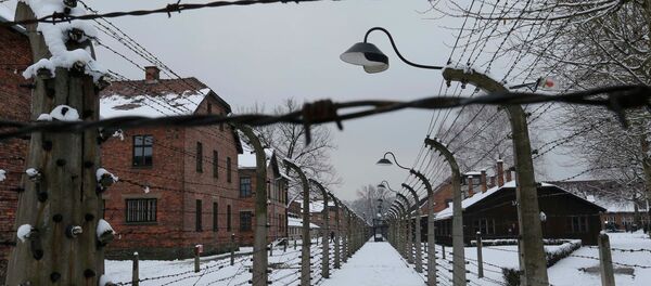 А general view of the former Nazi German concentration and extermination camp Auschwitz in Oswiecim January 26, 2015. - Sputnik Mundo
