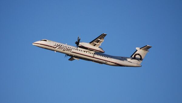 Avión Q400 - Sputnik Mundo