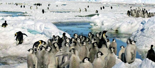 Los misterios de Antártida - Sputnik Mundo