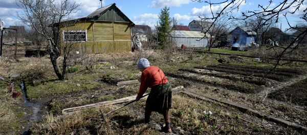 Diputados rusos proponen entregar tierras gratis para desarrollar territorios lejanos - Sputnik Mundo