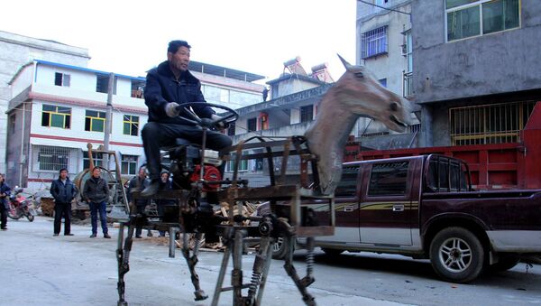 Su Daocheng en su caballo motorizado de metal - Sputnik Mundo