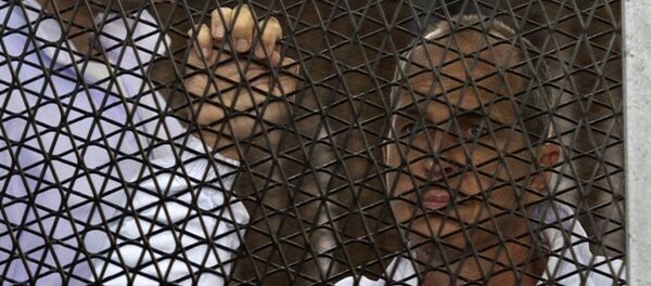 Australian journalist Peter Greste of Al-Jazeera - Sputnik Mundo