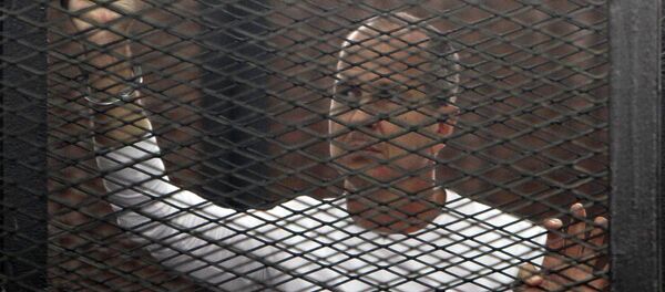 Al Jazeera journalist Peter Greste of Australia during his trial in a court in Cairo - Sputnik Mundo