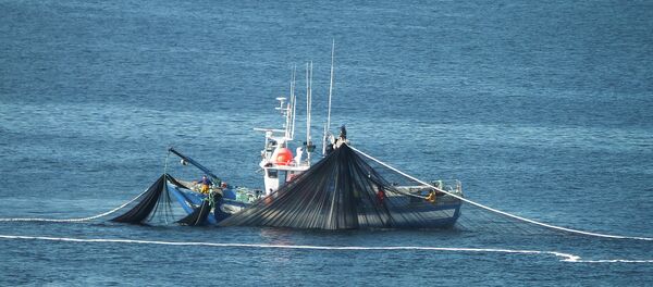 Barco pesquero - Sputnik Mundo
