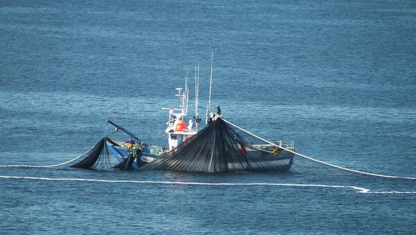 Barco pesquero - Sputnik Mundo