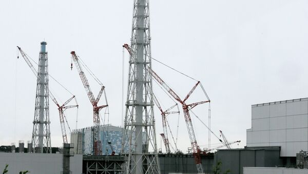 This photo taken on July 9, 2014 shows cranes working et the Unit 3 building next to the Unit 4 at the tsunami-crippled Tokyo Electric Power Co.'s Fukushima Daiichi Nuclear Power Plant in Okuma, Fukushima Prefecture, northeast of Tokyo This photo taken on July 9, 2014 shows cranes working et the Unit 3 building next to the Unit 4 at the tsunami-crippled Tokyo Electric Power Co.'s Fukushima Daiichi Nuclear Power Plant in Okuma, Fukushima Prefecture, northeast of Tokyo - Sputnik Mundo