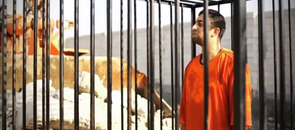 Muaz al Kasasbeh, piloto de la Fuerza Aérea de Jordania - Sputnik Mundo