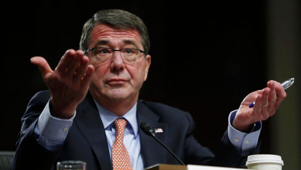 Ashton Carter, secretario de Defensa de EEUU - Sputnik Mundo