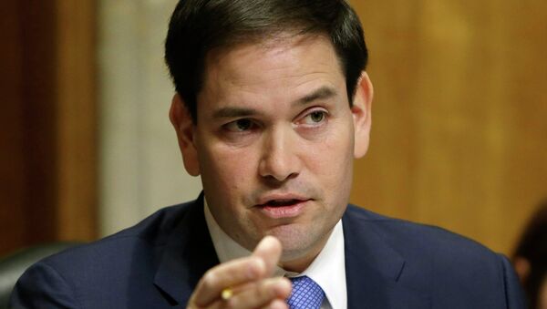 Senador de EEUU, Marco Rubio - Sputnik Mundo