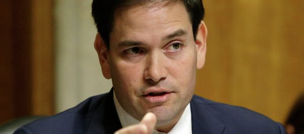 Marco Rubio, senador republicano - Sputnik Mundo