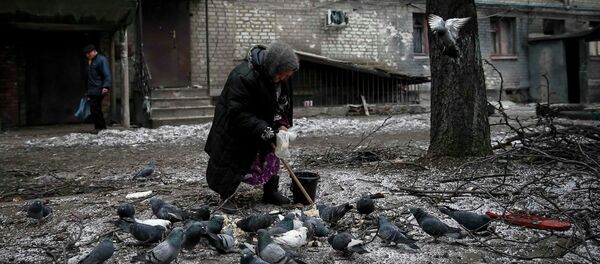 An elderly woman feeds pigeons near her damaged house in Debaltseve, eastern Ukraine, February 5, 2015 - Sputnik Mundo