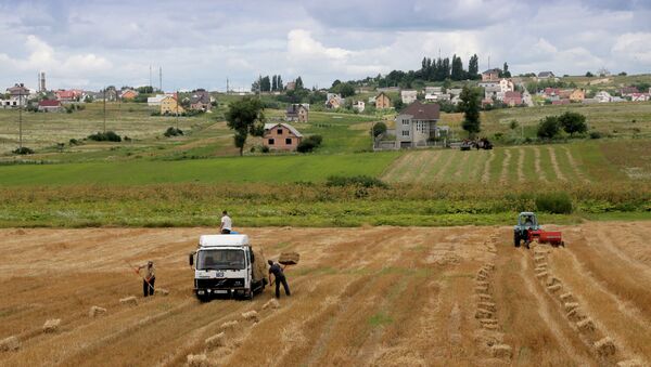 Campos de Ucrania al oeste de Kiev - Sputnik Mundo